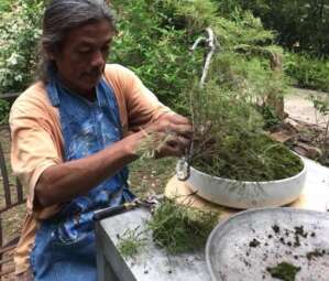 32756147_1811091985604002_2559733416731869184_n